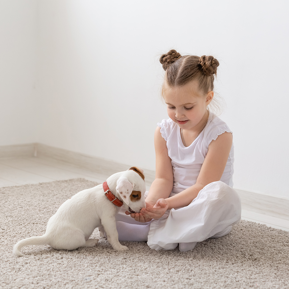 Children and animal concept - Puppy with his owner sitting on the floor.